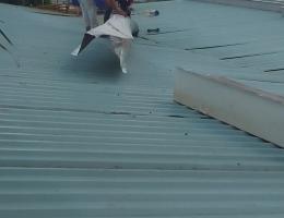 Thợ chống dột mái tôn nhà xưởng tại Tp Dĩ An