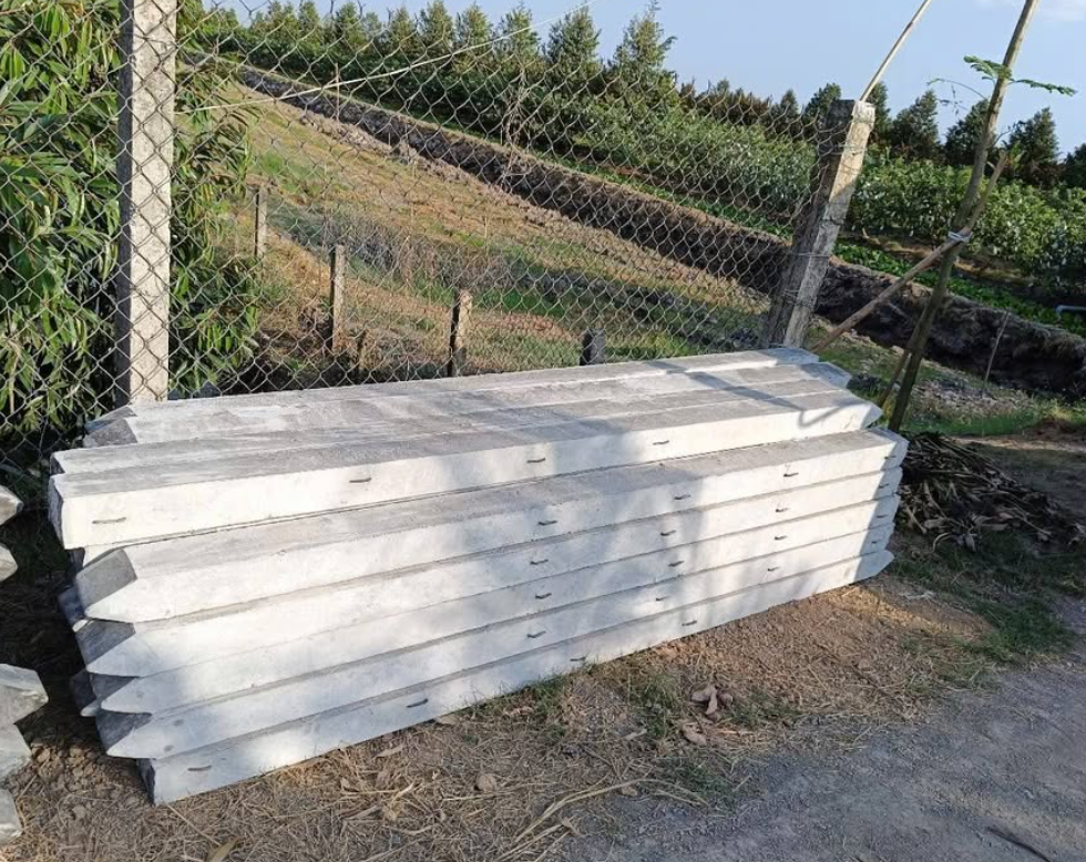 Cột bê tông hàng rào lưới b40